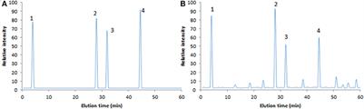 Astragalus mongholicus (Fisch.) Bge Improves Peripheral Treg Cell Immunity Imbalance in the Children With Viral Myocarditis by Reducing the Levels of miR-146b and miR-155